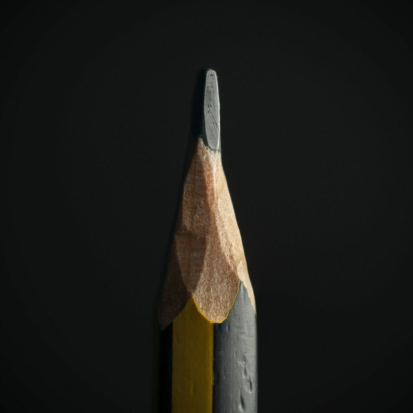 4th Annual Children's Expression Contest